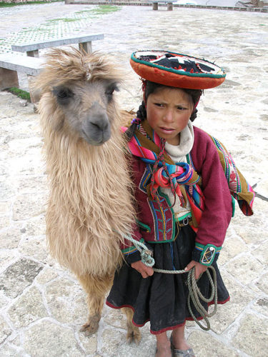Lama