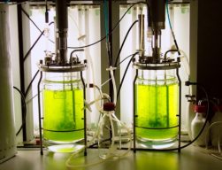 Fermentador de laboratório adaptado para crescimento de musgos