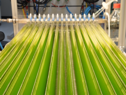 Fotobiorreactor horizontal