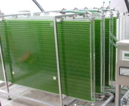 Fotobiorreactor laminar