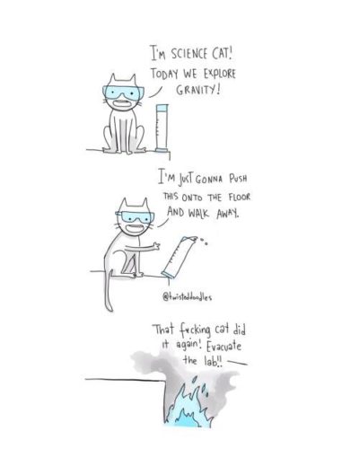 cat gravity