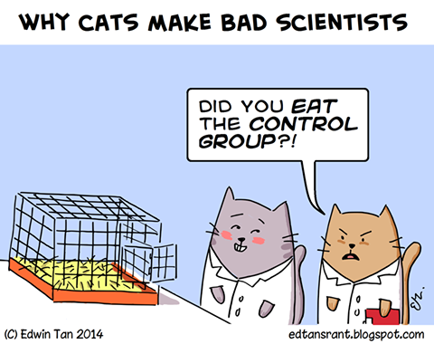 cat scientist
