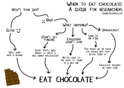 eat chocolate