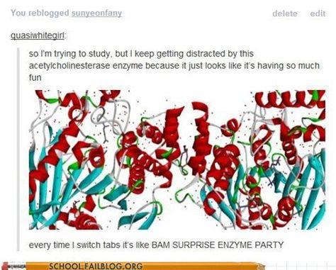 enzyme-party