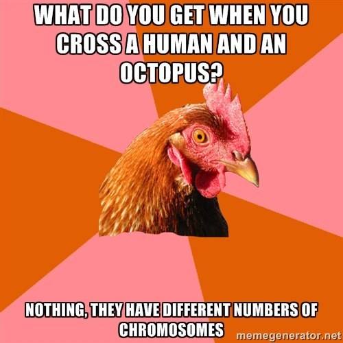 human-and-octopus