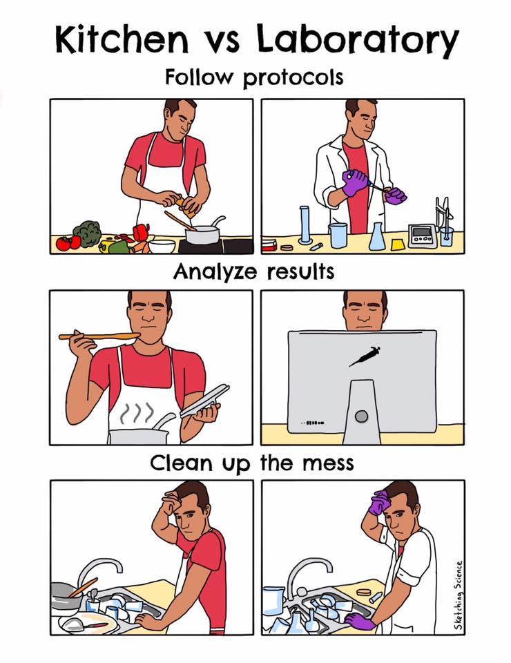 kitchen-lab