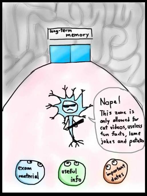 memory-neurons