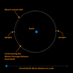 A órbita da Lua em torno da Terra não é circular, mas sim ligeiramente elíptica como representado no diagrama acima. Diagrama de Brian Koberlein