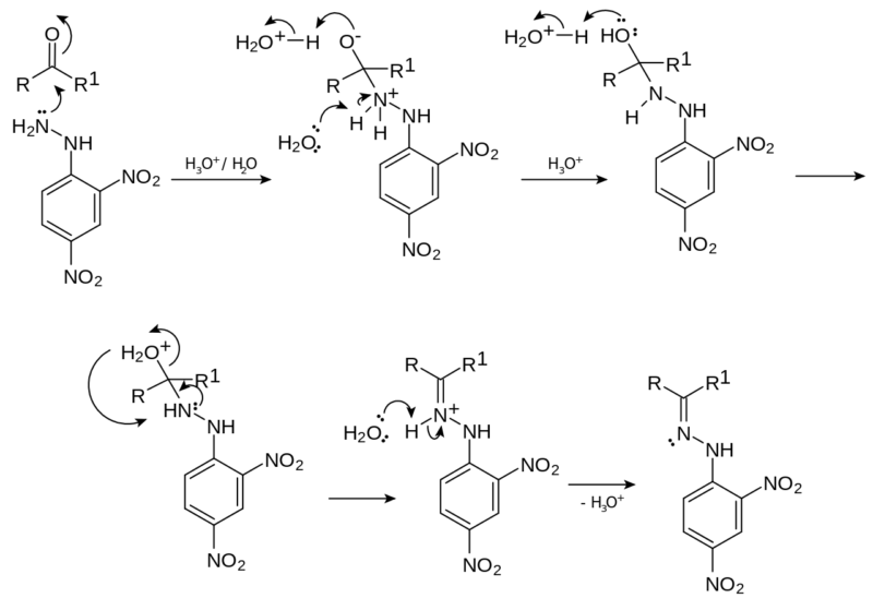 dnph-mechanism