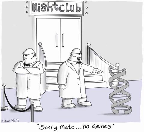 no-genes