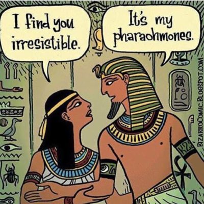 pharaohmones