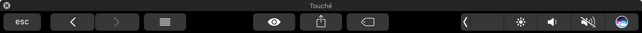 Exemplo da "touch bar" simulada pelo Touché