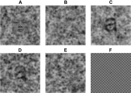 Exemplo das imagens usadas no trabalho: A - fácil de encontrar um rosto; B - difícil de encontrar um rosto; C - fácil de encontrar uma letra; D - difícil de encontrar uma letra; E - puro ruído; F - imagem sem conteúdo