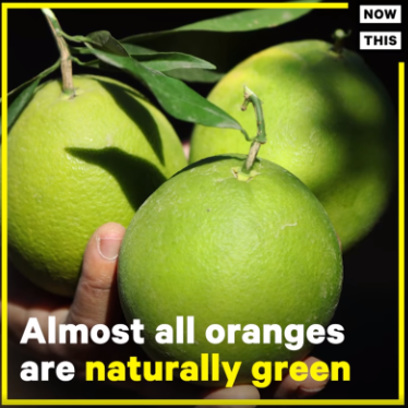 laranja