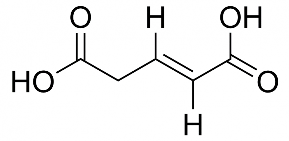 glutacónico